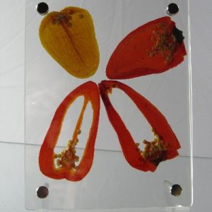 Red Pepper Papyrus – Mounted